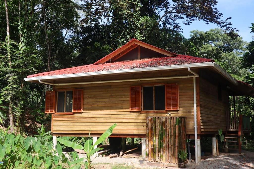 Jungle Beach 2 Bedroom Cottage Bocas Town Exterior foto