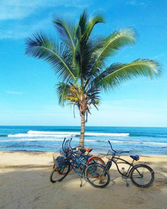 Jungle Beach 2 Bedroom Cottage Bocas Town Exterior foto